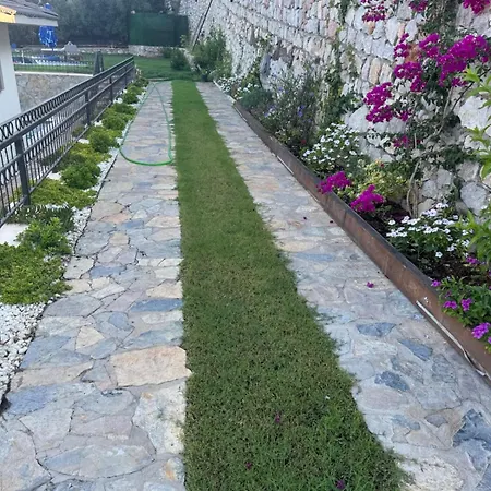 فيلة La